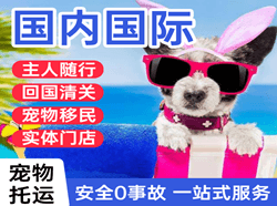 平潭航空快运国际宠物托运 【国